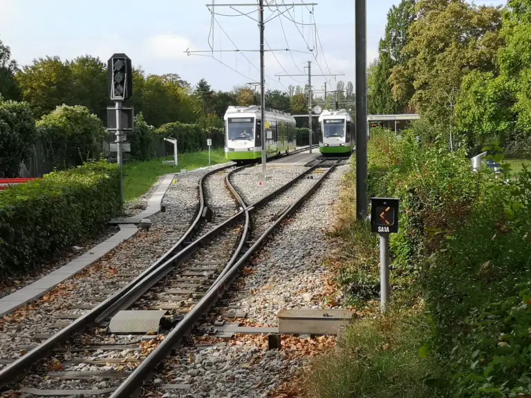 Zwei TransN Triebzüge in einer Station